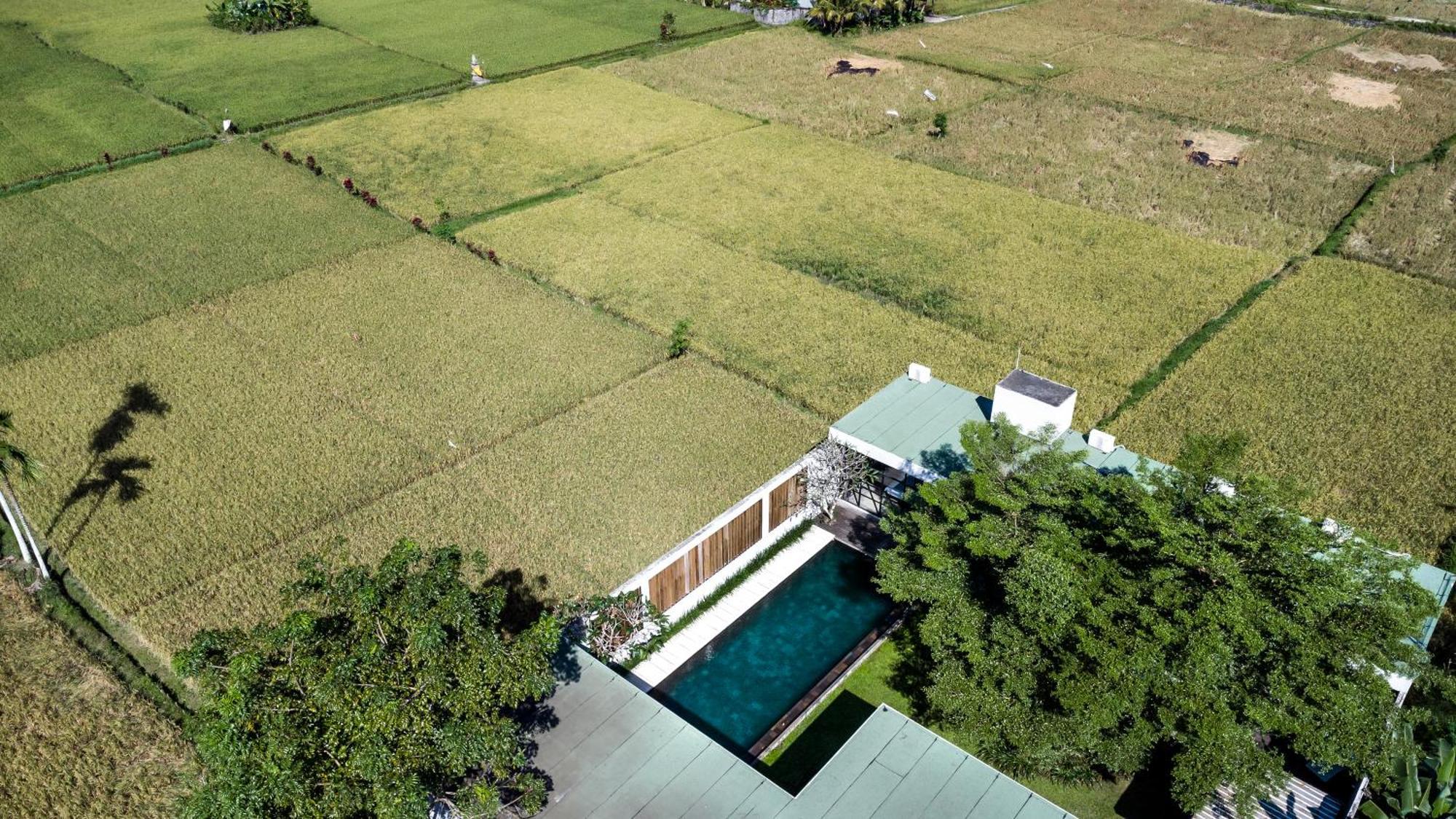 Loft Matahari By Balisuperhost Villa Ubud Eksteriør bilde